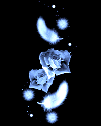 15572911.gif