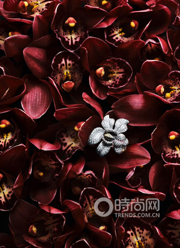 ��Ȼ����,����ʯ���뷱�����飬�ͷ·�̤����ħ������Ь������ͣ����ת������.jpg